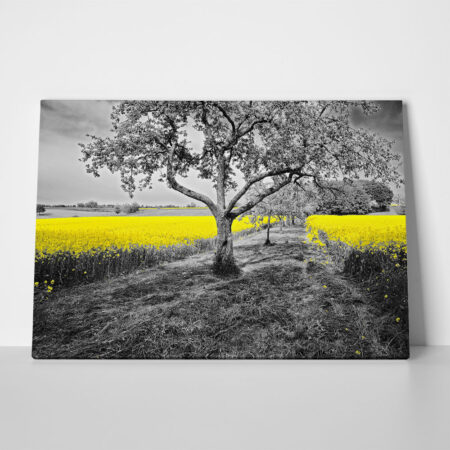 Πινακας σε καμβά YELLOW OILSEED - 40cm x 30cm