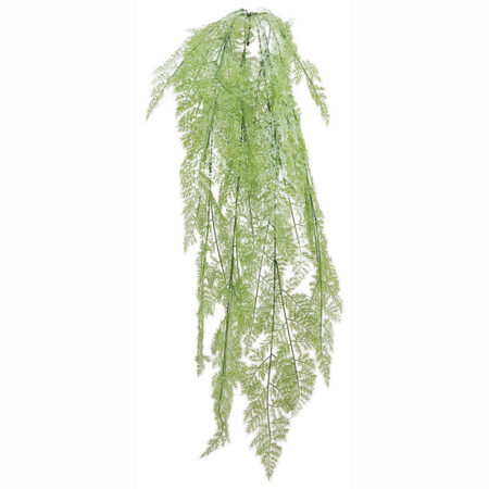 ΡΙΖΑ ΚΡΕΜΑΣΤΗ ΦΤΕΡΗ ΛΑΧΑΝΙ - Υ130cm