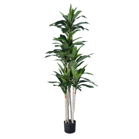 DRACAENA SILK 20044 - Τεχνητό Διακοσμητικό Φυτό Δράκαινα Υ170cm