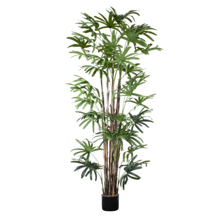 BROADLEAF LADY PALM TREE 20384 Τεχνητό Διακοσμητικό Φυτό Πλατύφυλλος Φοίνικας Μπαμπού Υ300cm