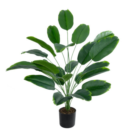 YOUNG BANANA PLANT 20916 - Διακοσμητικό Φυτό Νεαρή Μπανανιά Φ82 x Υ80cm
