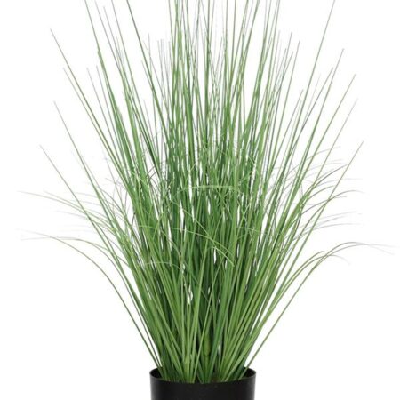 ONION GRASS TREE  NP1009_60 ΥΨΟΣ 60cm