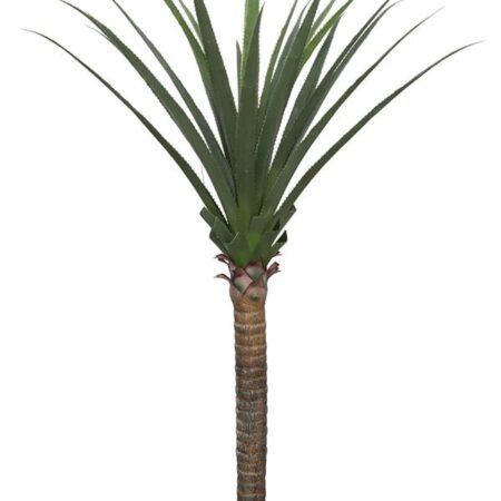 AGAVE TREE  NP802_160  ΥΨΟΣ 160cm