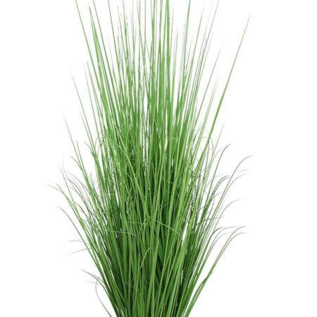 ONION GRASS TREE  NP1011_120 ΥΨΟΣ 120cm