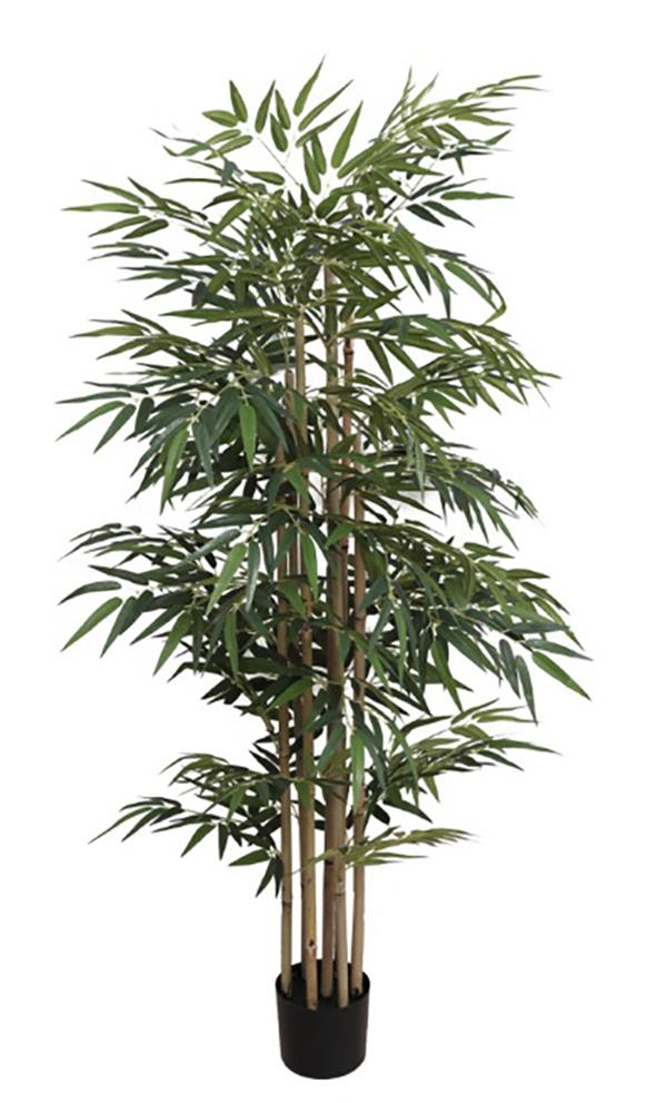 BAMBOO NP828_210_UV ΥΨΟΣ 210cm