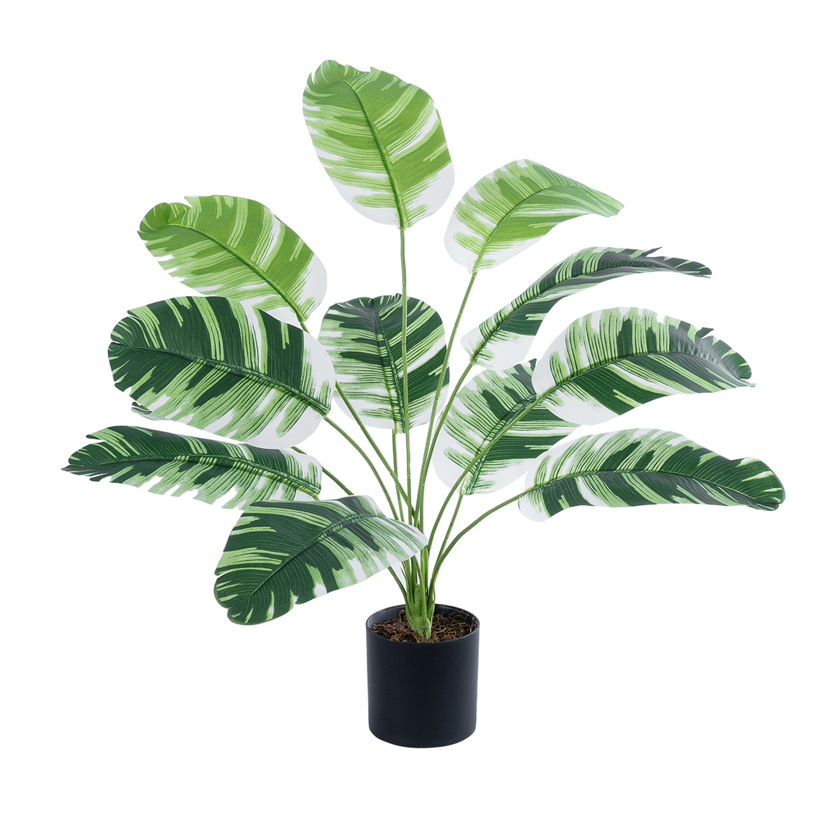BANANA PLANT ZEBRA 20929 - Διακοσμητικό Φυτό Μπανανιά Ζέβρα Φ70 x Υ55cm