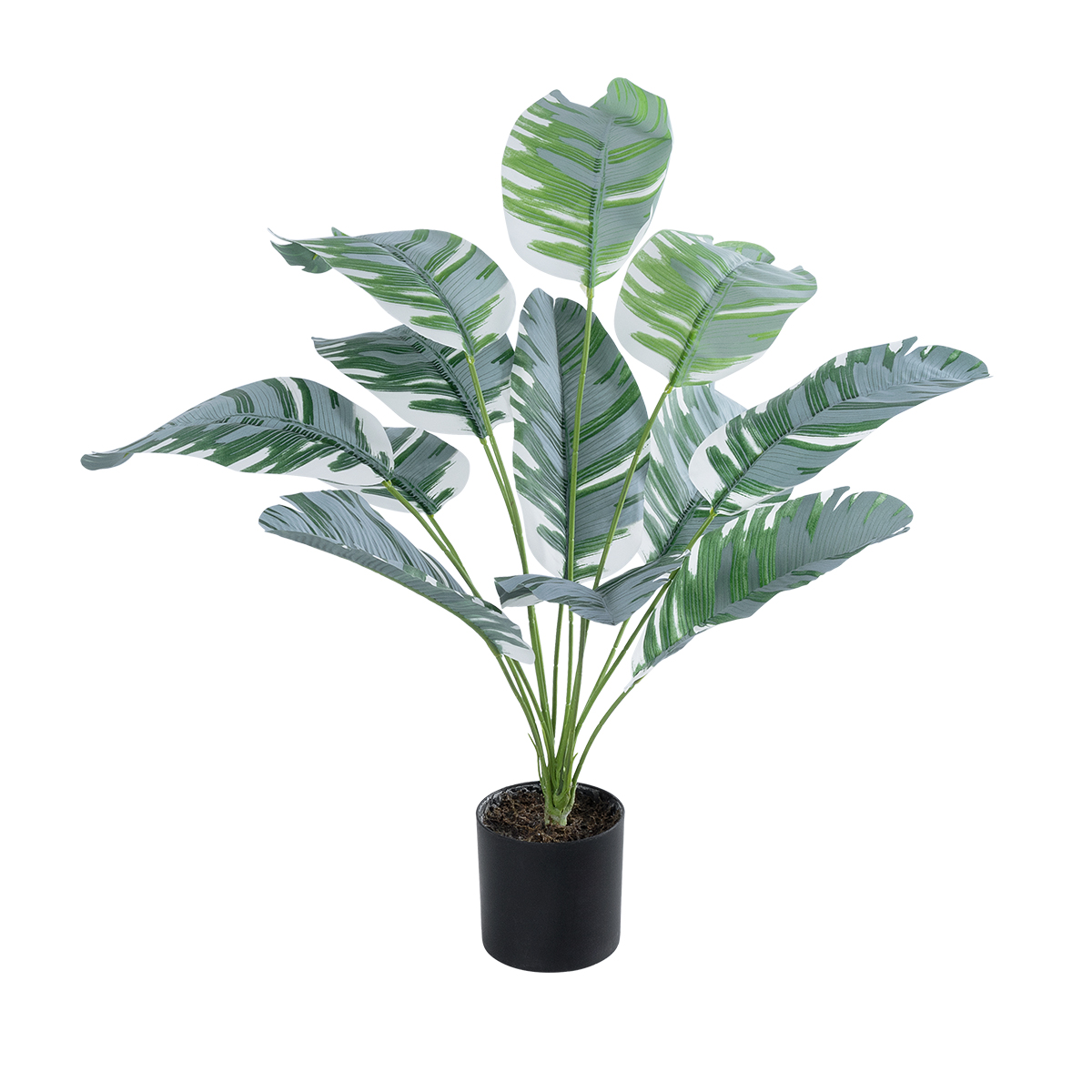 BANANA PLANT ZEBRA 20930 - Διακοσμητικό Φυτό Μπανανιά Ζέβρα Φ70 x Υ55cm
