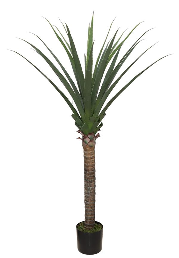 AGAVE TREE NP802_160 ΥΨΟΣ 160cm
