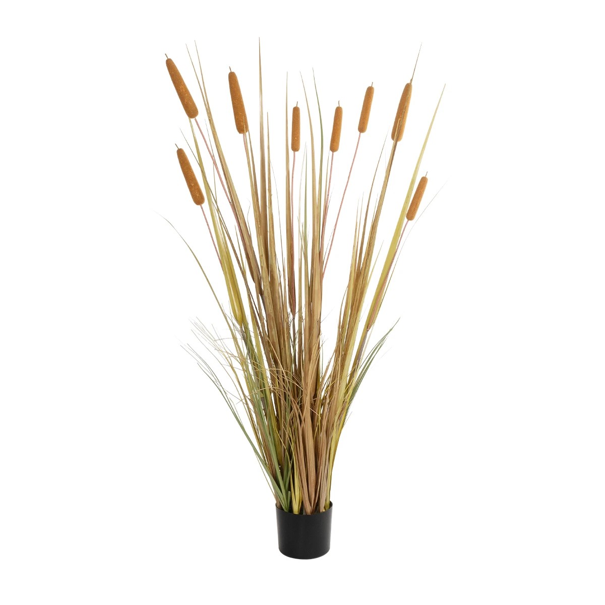 TYPHA GRASS 21483 Τεχνητό Διακοσμητικό Φυτό Γρασίδι της Τύφας Μ70 x Π40 x Υ150cm