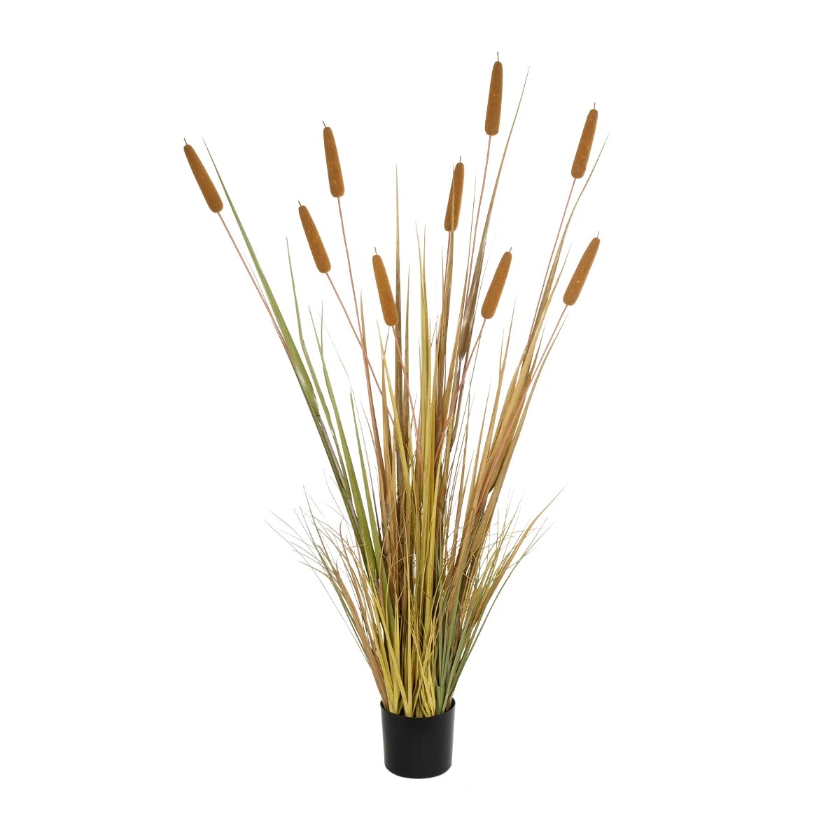 TYPHA GRASS 21484 Τεχνητό Διακοσμητικό Φυτό Γρασίδι της Τύφας Μ100 x Π35 x Υ180cm