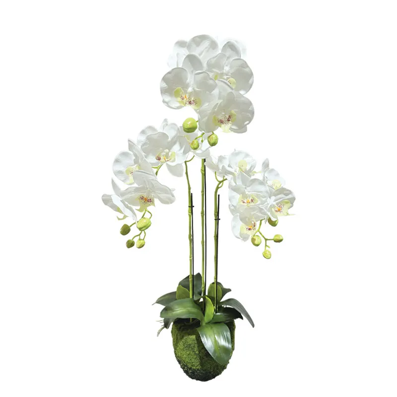 ΦΥΤΟ ΟΡΧΙΔΕΑ ΛΕΥΚΑ ΑΝΘΗ REAL TOUCH - Υ82cm