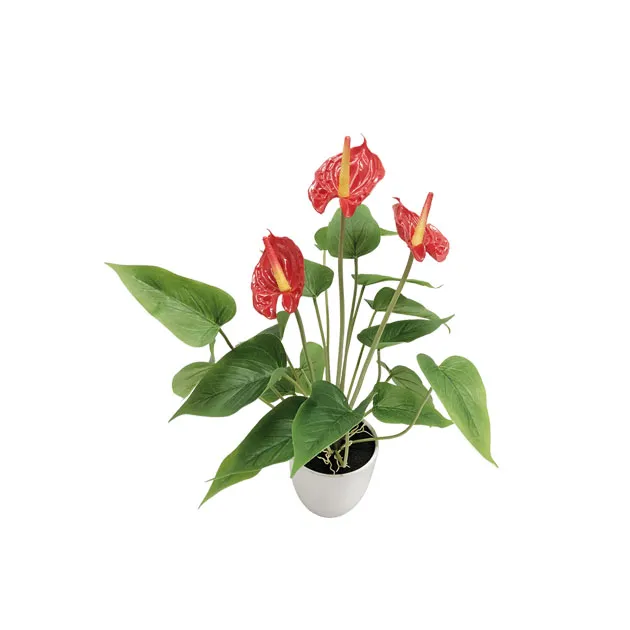 ΦΥΤΟ ΜΙΝΙ ΑΝΘΟΥΡΙΟ KOKKINO REAL TOUCH x3 - Y43cm