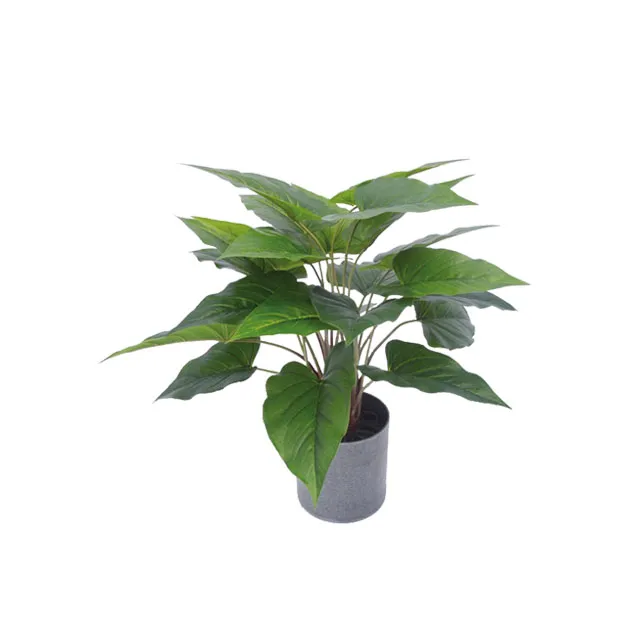 Σετ Σεντόνια Polycotton Με Λάστιχο 180x200+32εκ. Cesare Jean Casual Line...