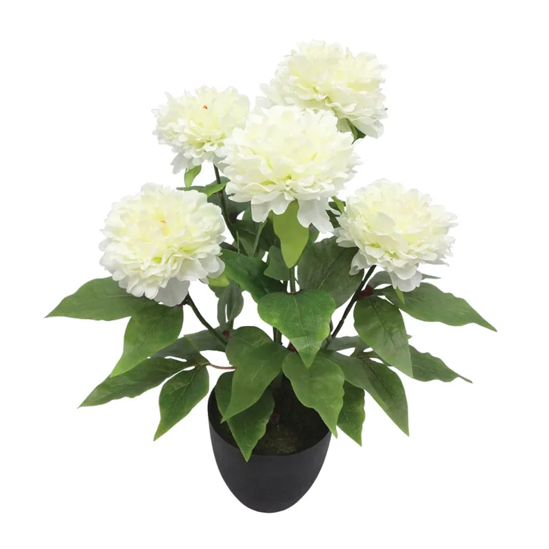 ΦΥΤΟ ΠΑΙΩΝΙΑ X5 ΕΚΡΟΥ ΣΕ ΚΑΣΠΩ - Υ48cm