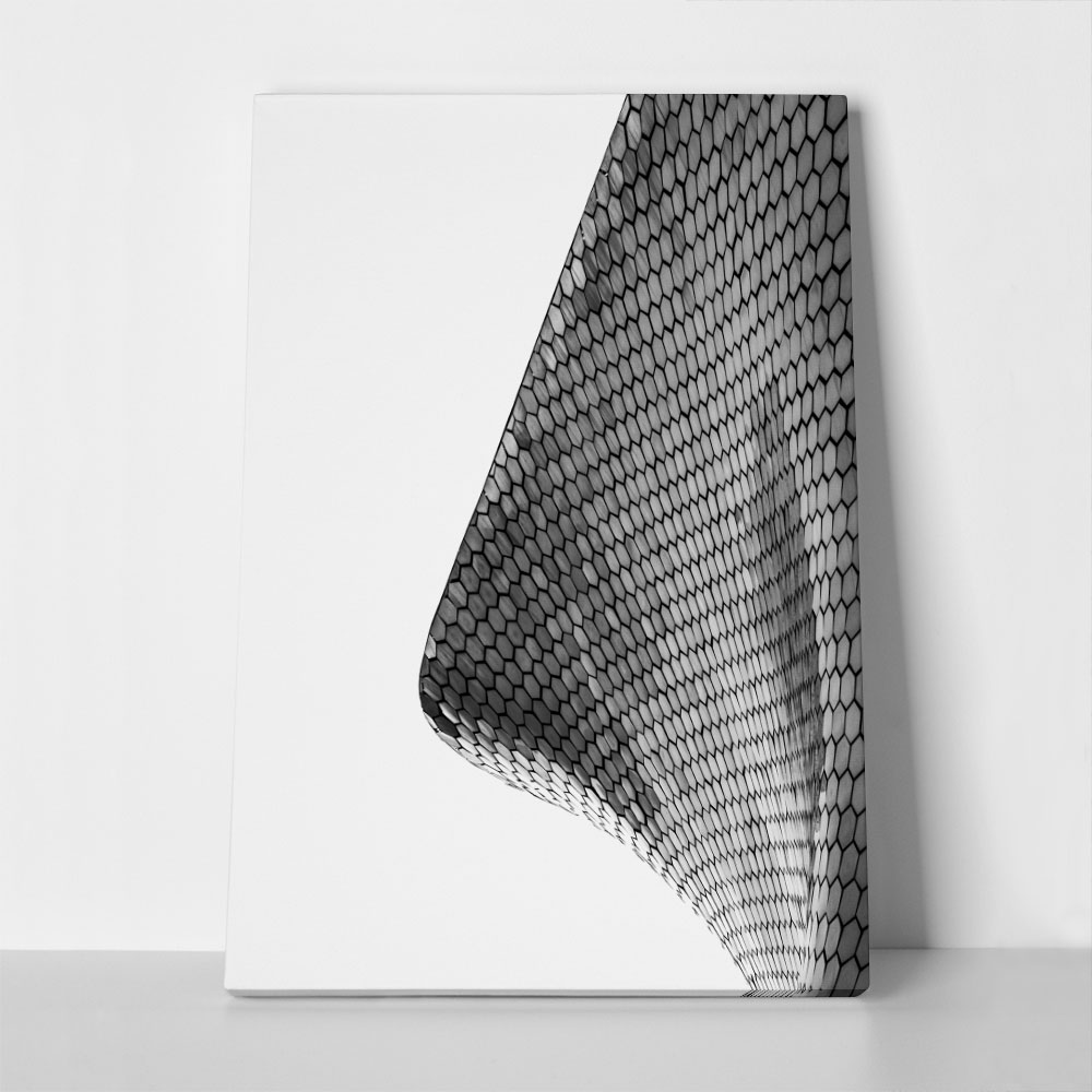 Πίνακας σε Καμβά BLACK AND WHITE ARCHITECTURAL HEXAGONAL EXTERIOR FACADE