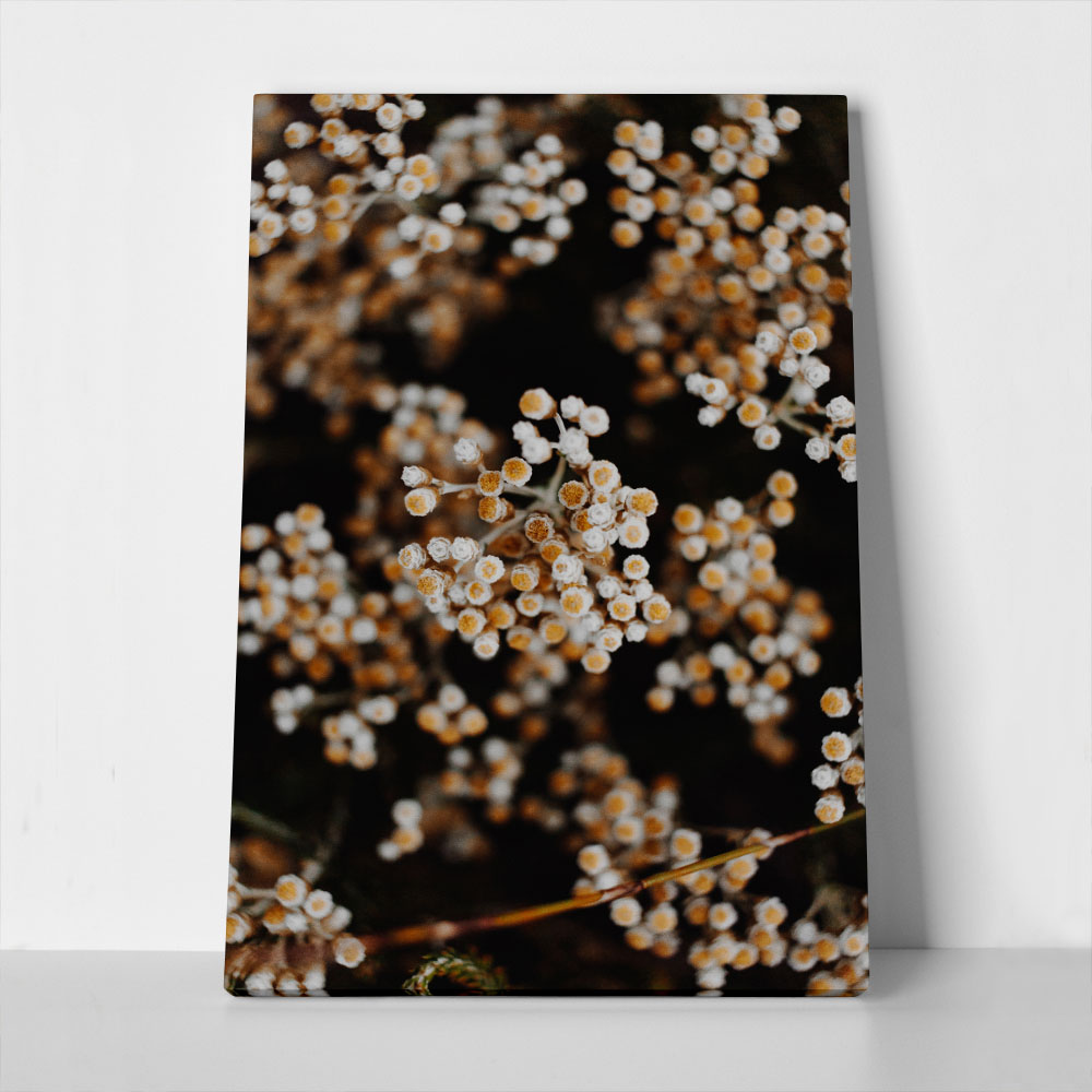 Πίνακας σε Καμβά RUSTIC FARMHOUSE DRIED FLOWERS 2