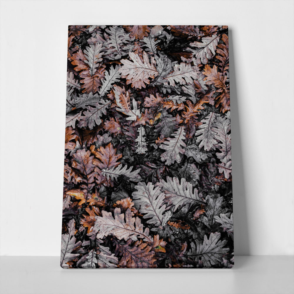 Πίνακας σε Καμβά RUSTIC FARMHOUSE DRIED LEAVES 3