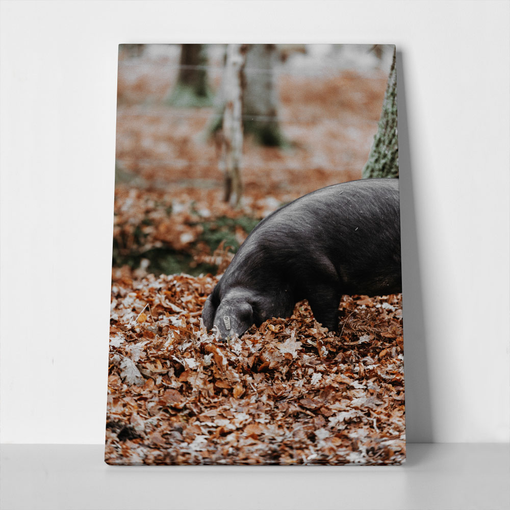 Πίνακας σε Καμβά RUSTIC FARMHOUSE HOG