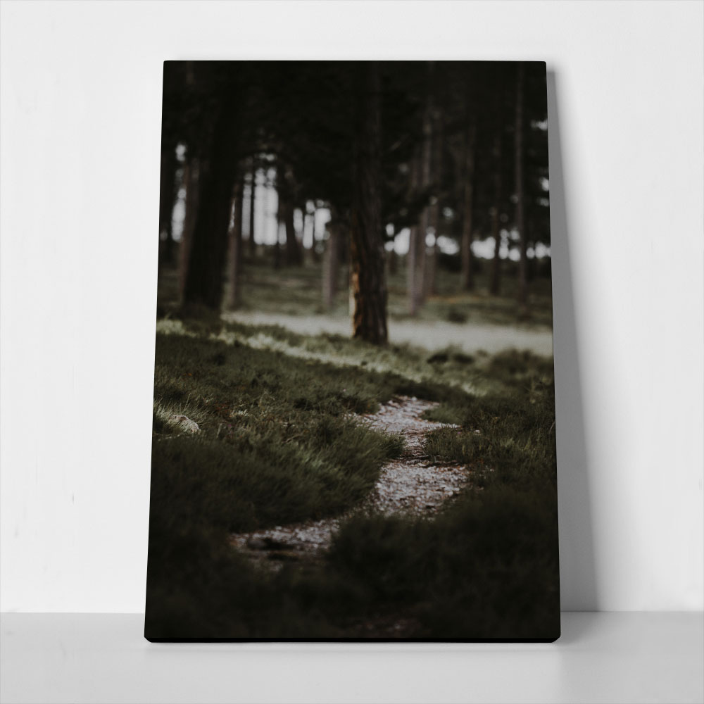 Πίνακας σε Καμβά RUSTIC FARMHOUSE MOUNTAIN PATH