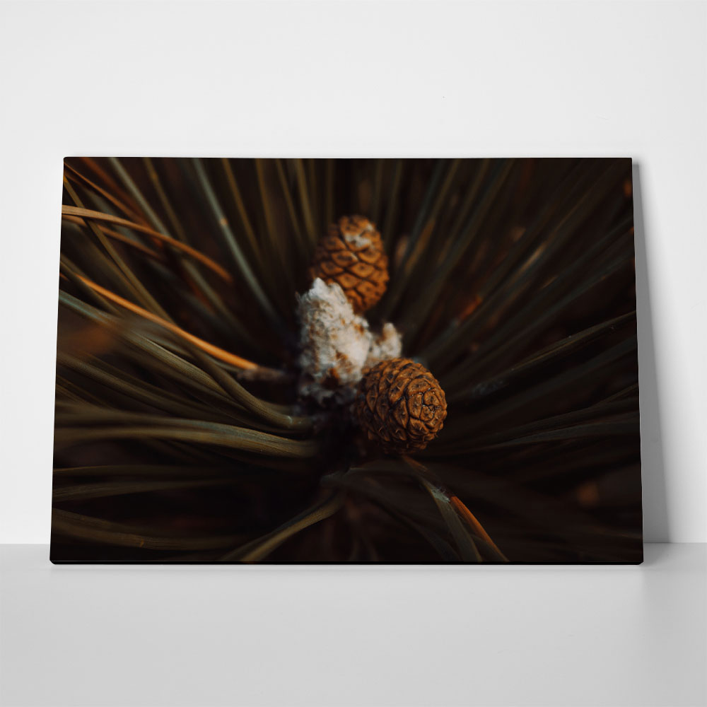 Πίνακας σε Καμβά RUSTIC FARMHOUSE PINE CONES 2