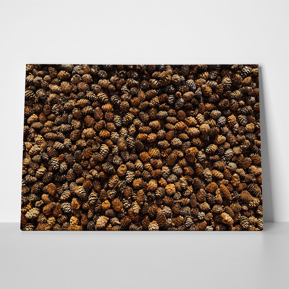 Πίνακας σε Καμβά RUSTIC FARMHOUSE PINE CONES
