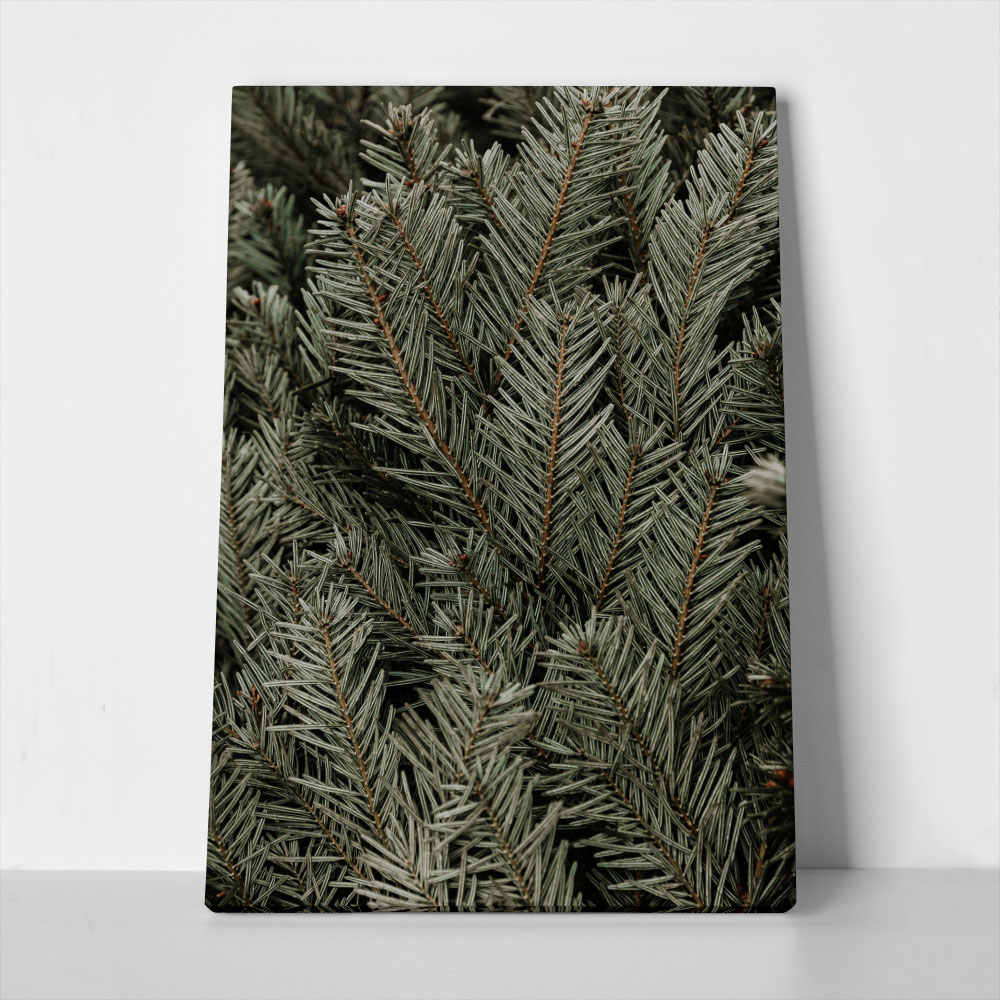 Πίνακας σε Καμβά RUSTIC FARMHOUSE PINE LEAVES