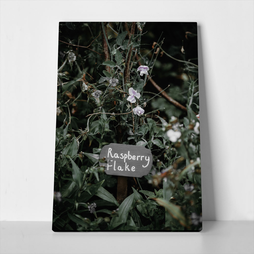 Πίνακας σε Καμβά RUSTIC FARMHOUSE RASPBERRY FLAKE