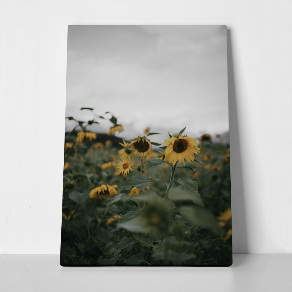 Πίνακας σε Καμβά RUSTIC FARMHOUSE SUNFLOWERS 4