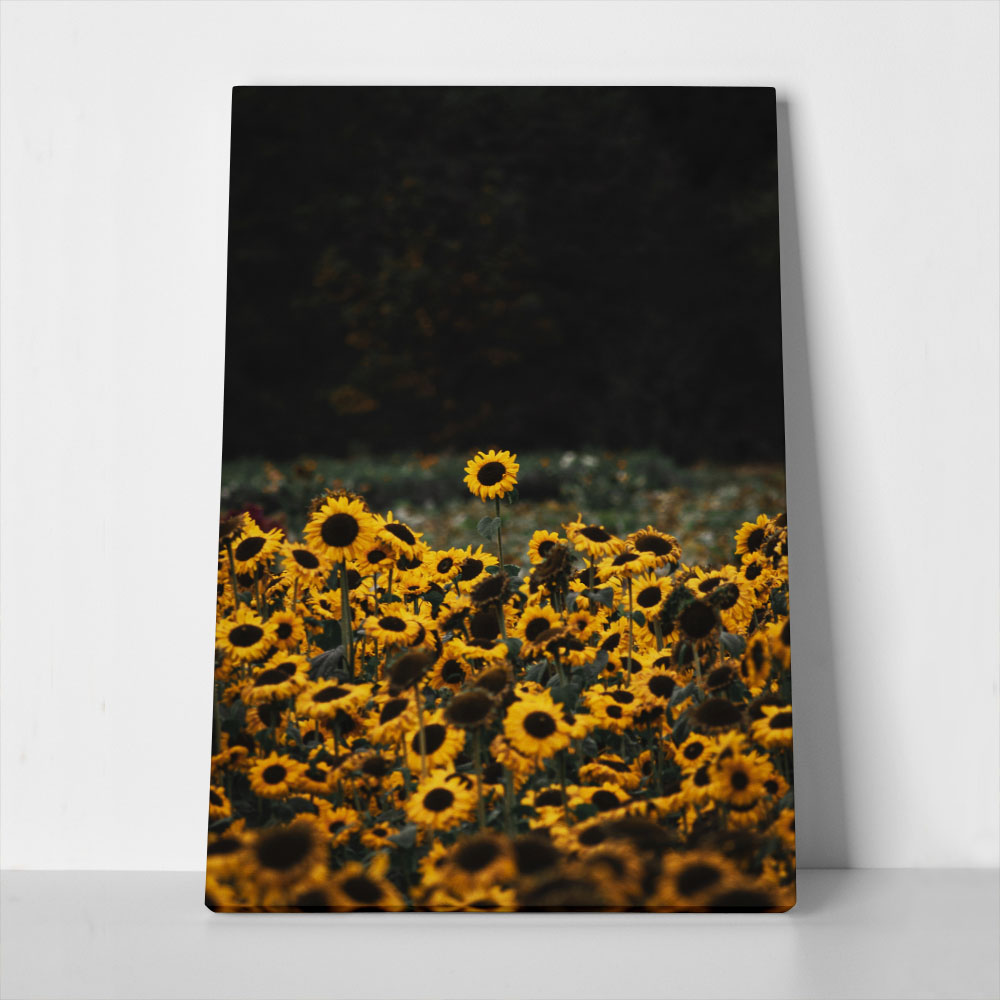 Πίνακας σε Καμβά RUSTIC FARMHOUSE SUNFLOWERS 5