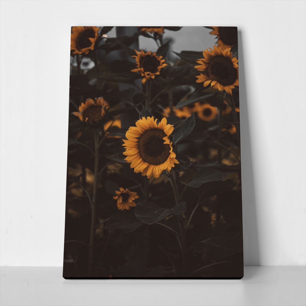 Πίνακας σε Καμβά RUSTIC FARMHOUSE SUNFLOWERS 6