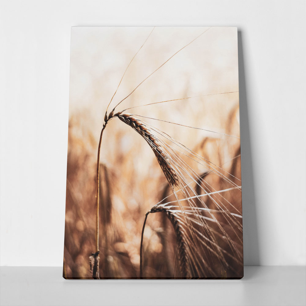 Πίνακας σε Καμβά RUSTIC FARMHOUSE WHEAT 2