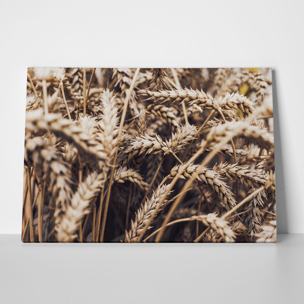 Πίνακας σε Καμβά RUSTIC FARMHOUSE WHEAT 6