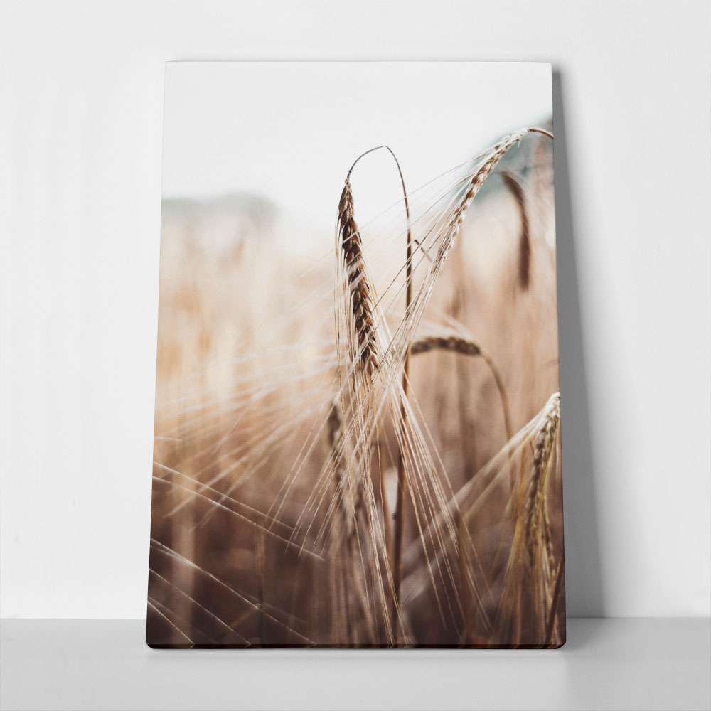 Πίνακας σε Καμβά RUSTIC FARMHOUSE WHEAT