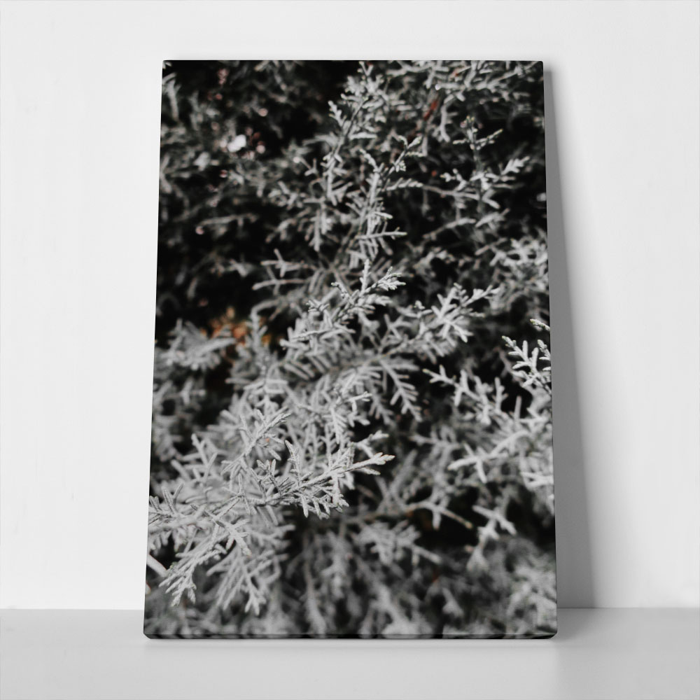 Πίνακας σε Καμβά RUSTIC FARMHOUSE WINTER LEAVES
