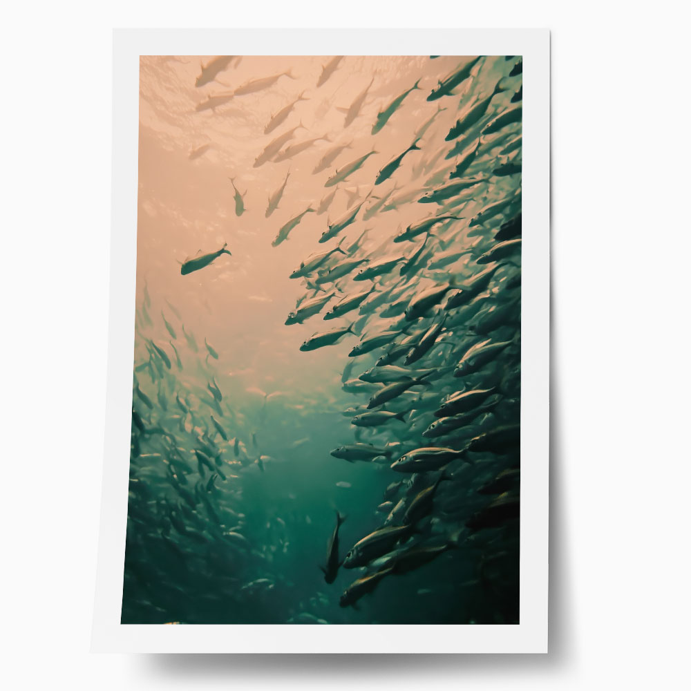 Poster VINTAGE PASTEL FISH